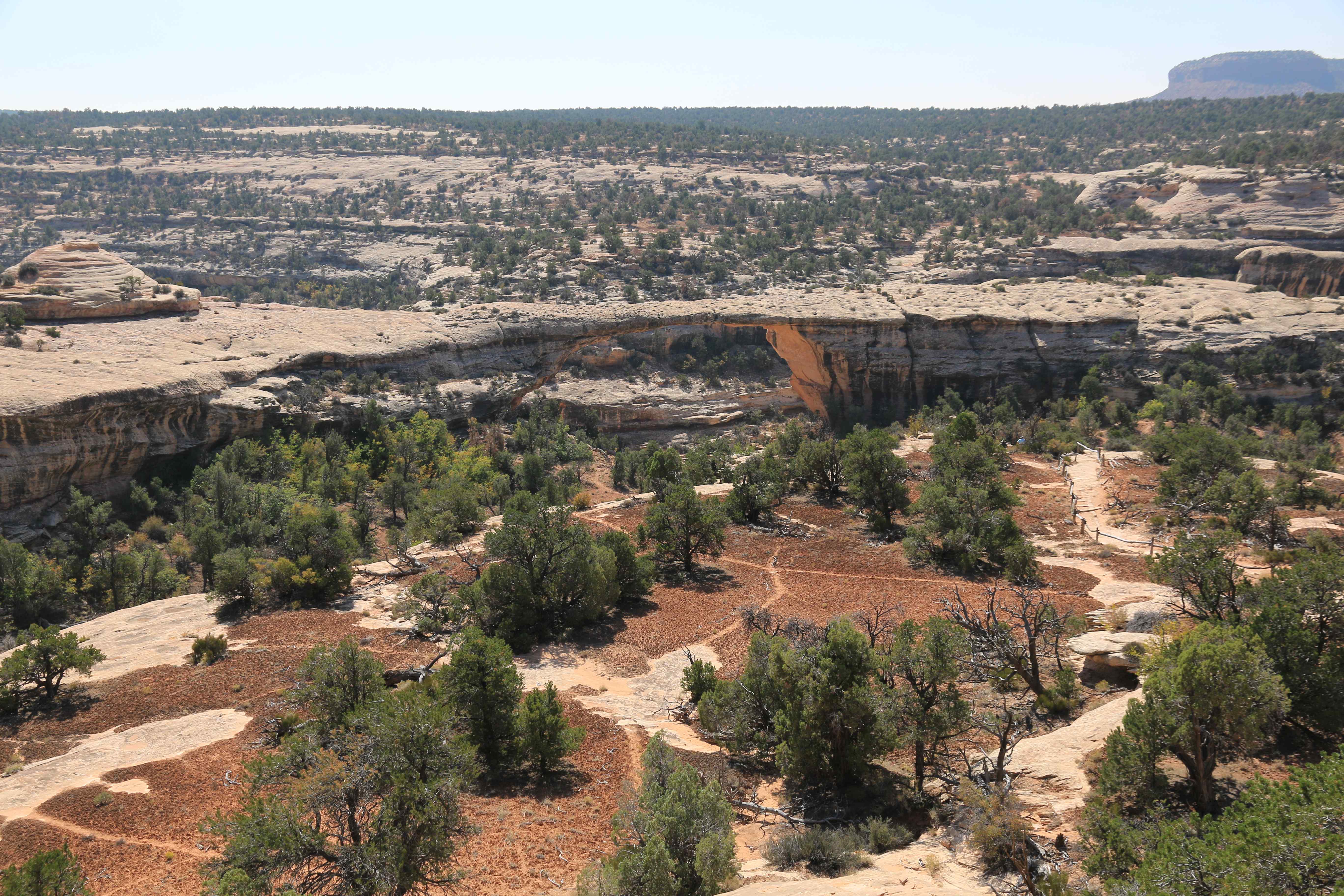 Natural Bridges NM